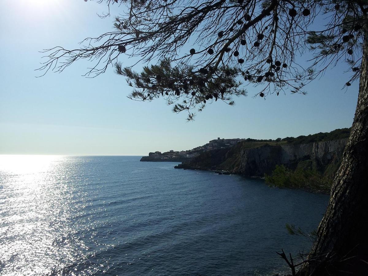 Puig Sureda - Apartamentos L' Escala Buitenkant foto